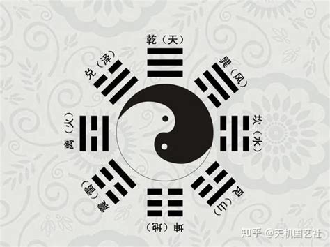 卦爻|爻（组成卦符的基本符号）